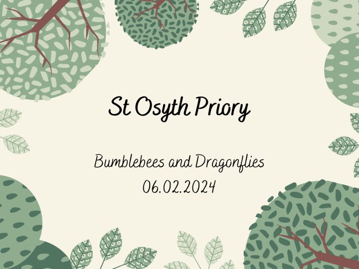 Our Trip to St Osyth Priory